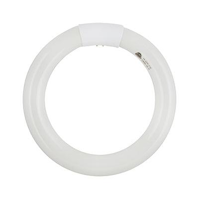 Fluorescent Circline T9 G10q 22w 4000 K - Livestainable.co.za