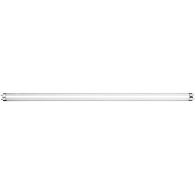 2 Ft T8 Fluorescent Tube 18w G13 4000 K - Livestainable.co.za