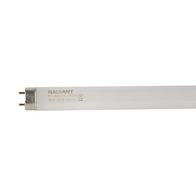 4 Ft T8 Fluorescent Tube 36w G13 3000 K - Livestainable.co.za