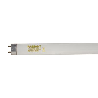 5 Ft T8 Fluorescent Tube 58w G13 4000 K Pre Pack - Livestainable.co.za