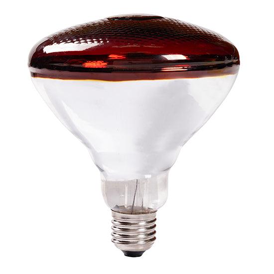 Infrared Par38 E27 175w Ruby 3000h - Livestainable.co.za