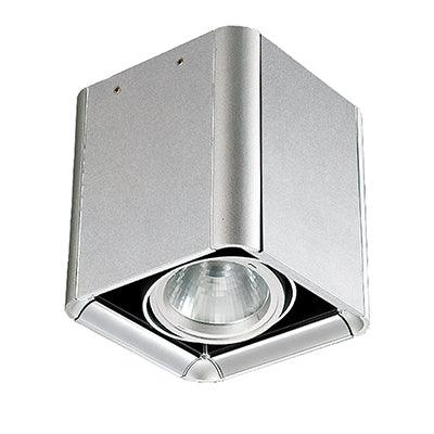 D/Light Tilt Square Surface S/Silver Led 25w C/O 170x175mm And Back Up - Livestainable.co.za