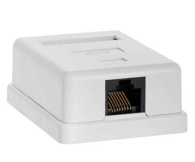 Socket W/M Network 1x Rj45 Cat6 Sa8 P8 C6 S