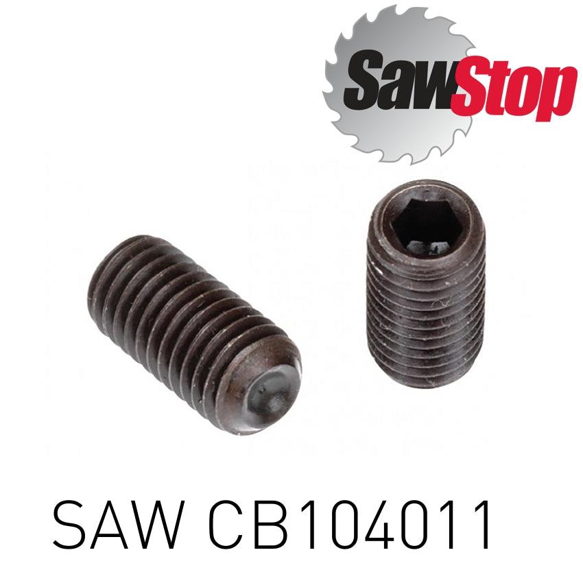 Sawstop Set Screw M6 X 1.0 X 14 Mm - Livestainable.co.za