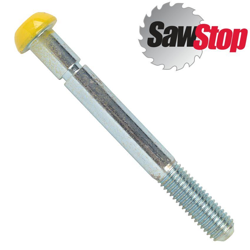 Sawstop M12 Brake Positioning Bolt - Livestainable.co.za