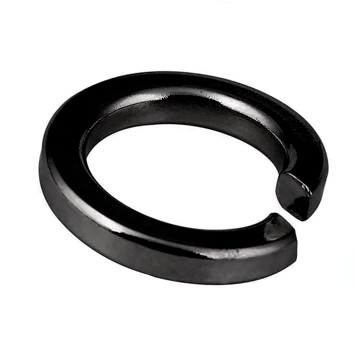 M6 Lock Washer - Livestainable.co.za