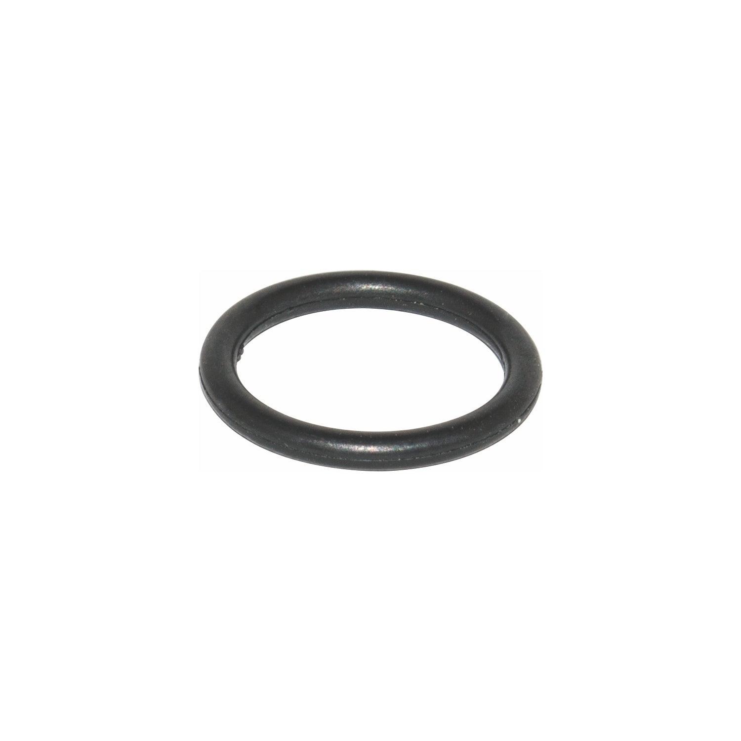 O Ring For H2000 Spray Gun - Livestainable.co.za