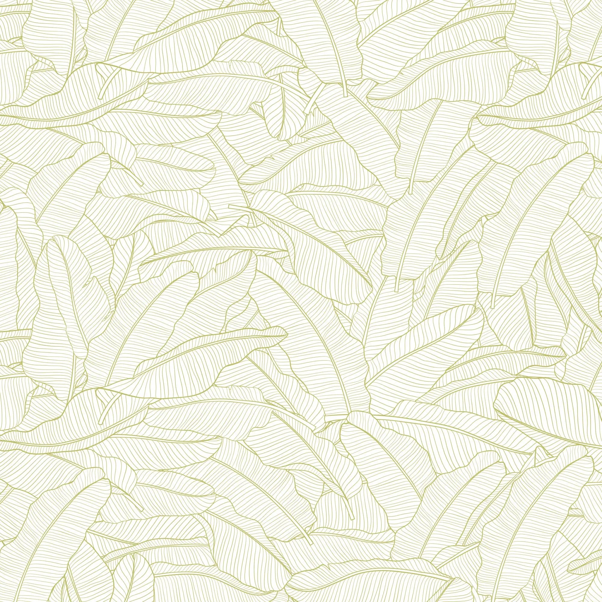 Scented Drawer Liners / English Pear & Orchid