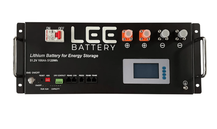 LEE LiFePO4 Battery 51.2V 100Ah Rack-Mount - Livestainable.co.za