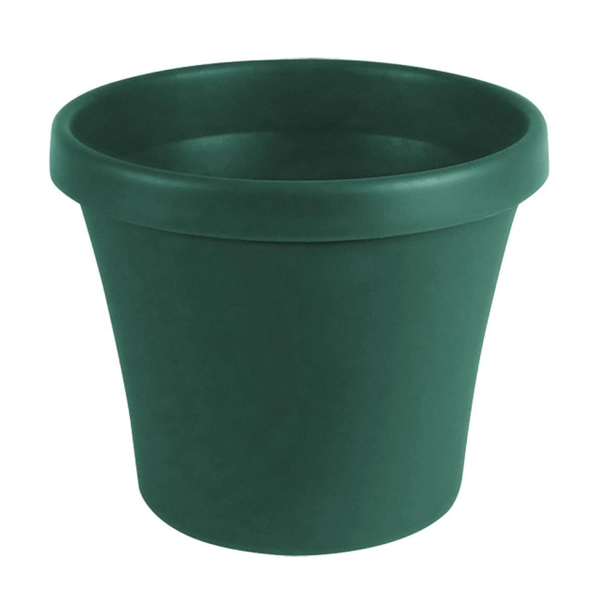 Sebor Super Pot 15 Cm Green - Livestainable.co.za