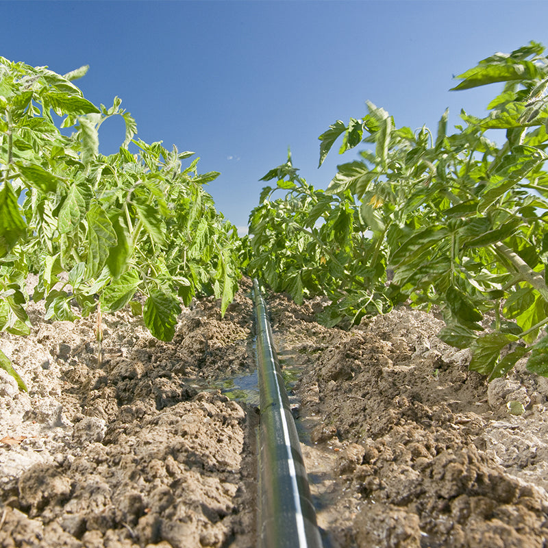 T Tape 16 Mm 0.3 Sp 340 Lph/100 M 2300 M (8 Mil) 0.2 Mm