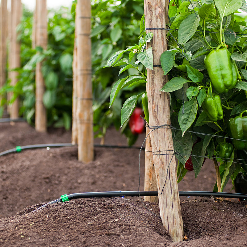 T Tape 16 Mm 0.3 Sp 340 Lph/100 M 2300 M (8 Mil) 0.2 Mm