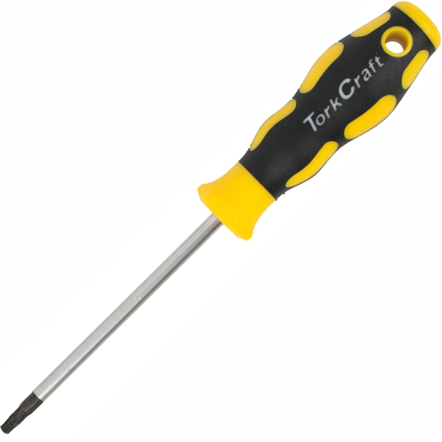 Screwdriver Torx Tamper Proof T25 6 X100 Mm - Livestainable.co.za