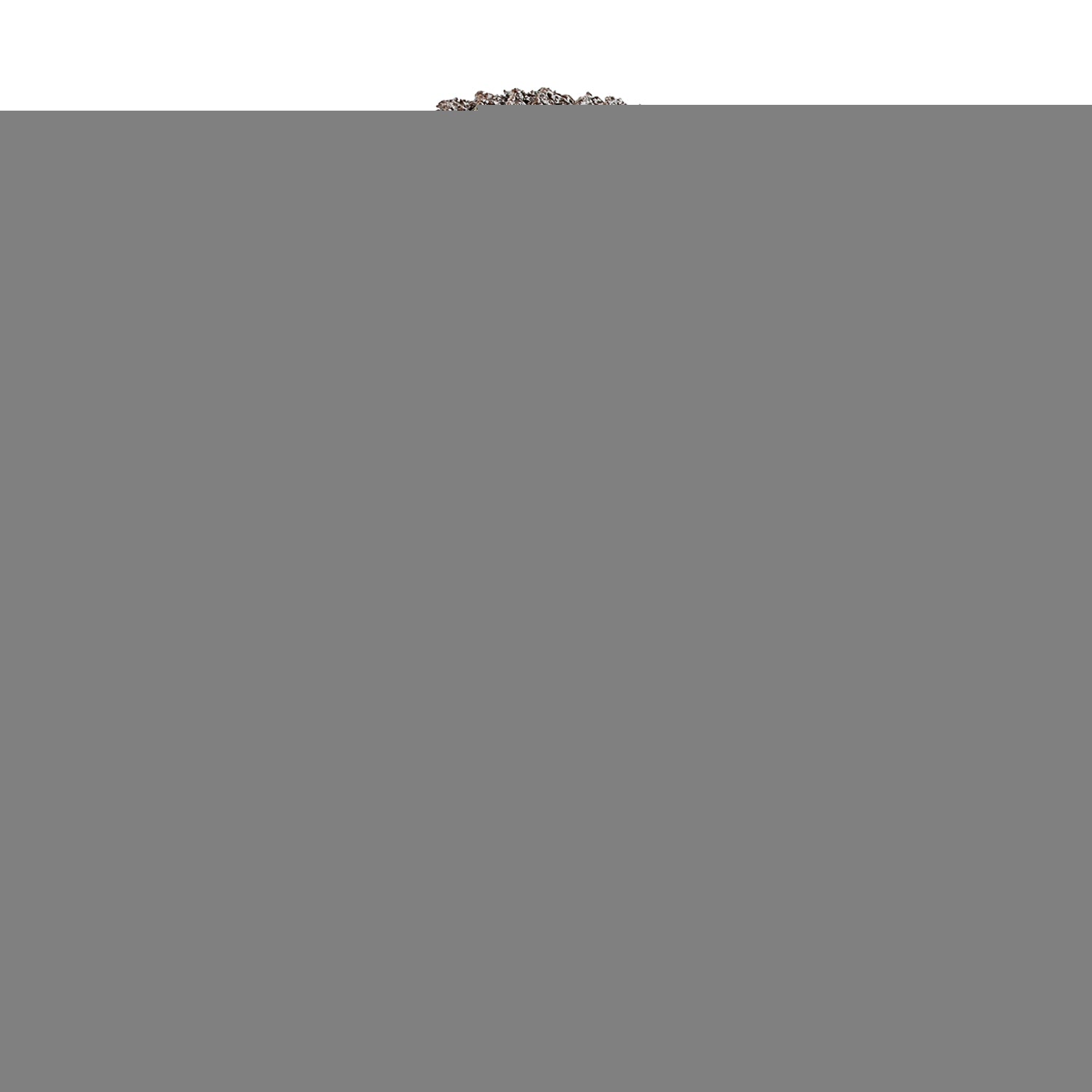 Tork Craft Flap Disc Round Edge A/O 115 Mm 40 Grit Flat