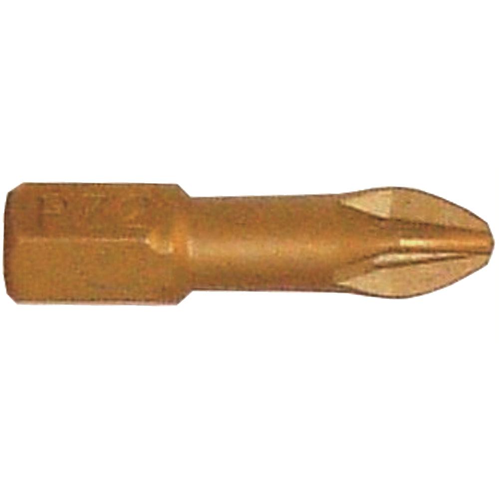 Pozi 2 X 25 Mm Insert Bit Torsion Titanium Coated Pz2 - Livestainable.co.za