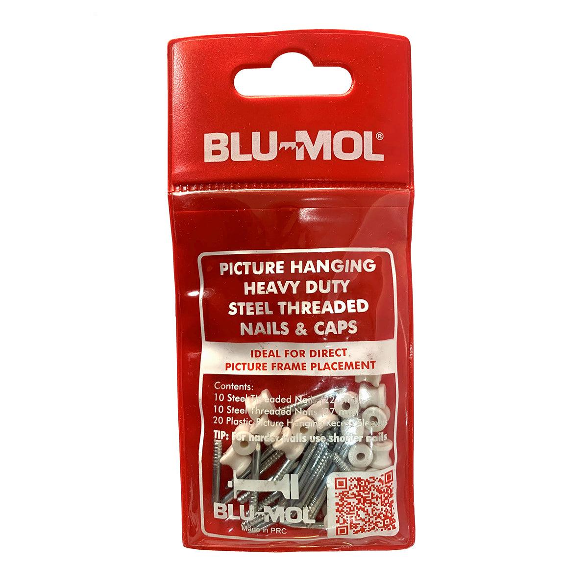 Blu Mol Heavy Duty Steel Threaded Nail&Cap 22&27 Mm - Livestainable.co.za