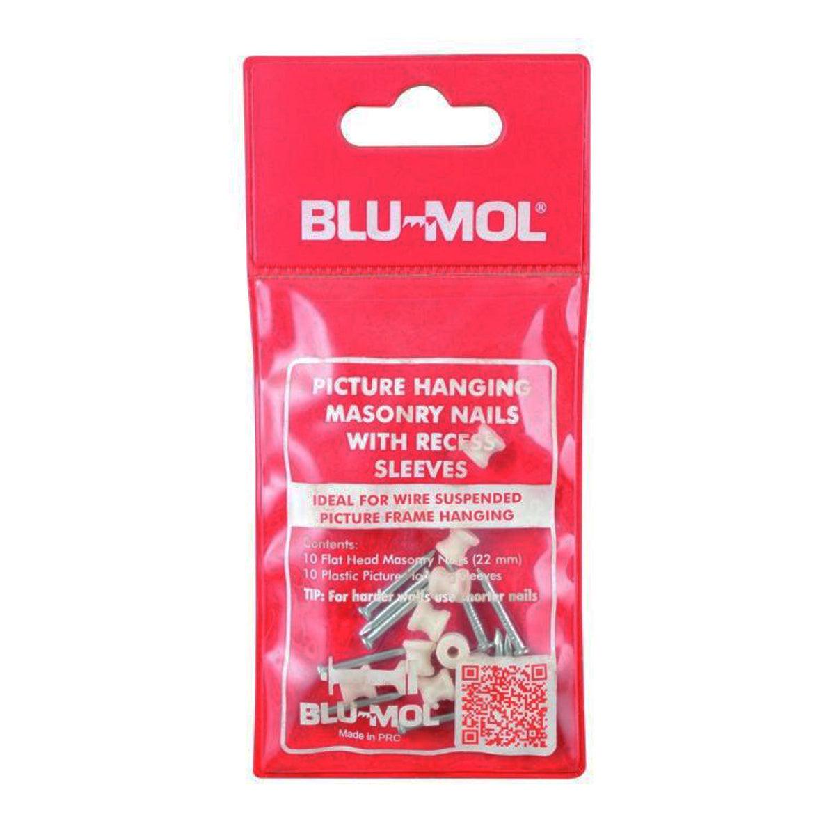 Blu Mol Standard Nails With Recess Sleeves 22 Mm - Livestainable.co.za