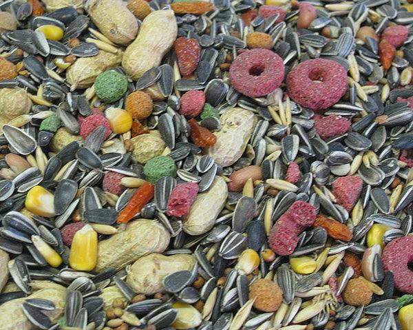 Complete Seed Parrot Mix 1 Kg - Livestainable.co.za