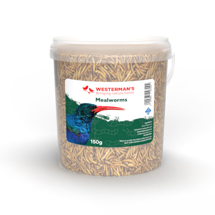 Mealworms 150g