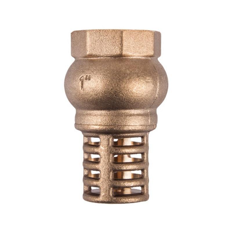 Torrenti Valve Foot Brass 50 Mm - Livestainable.co.za