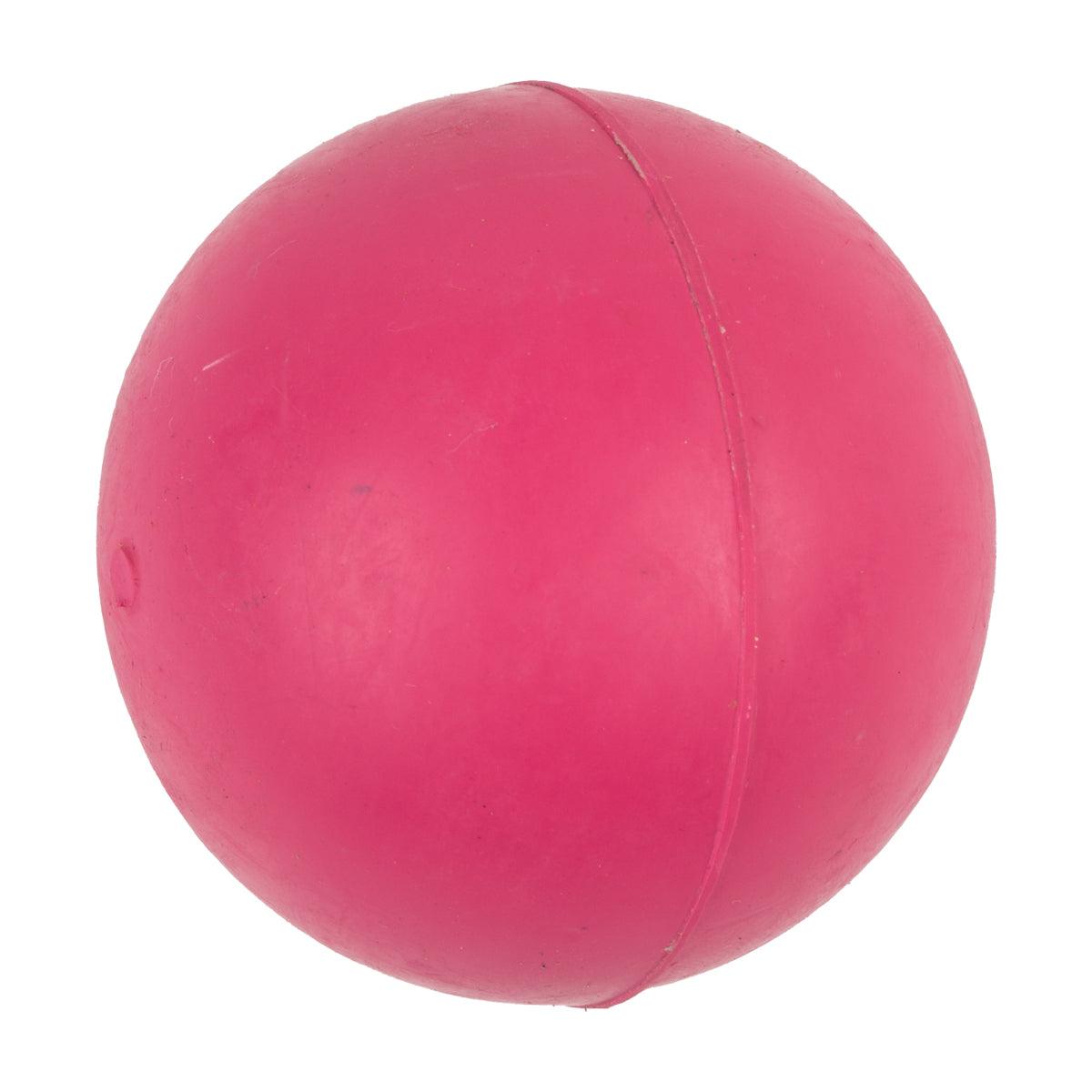 Complete Dog Toy Vinyl Ball - Livestainable.co.za