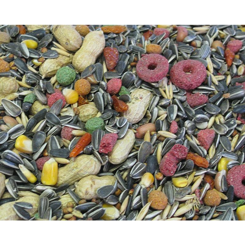 Complete Seed Parrot Special Mix 1 Kg - Livestainable.co.za