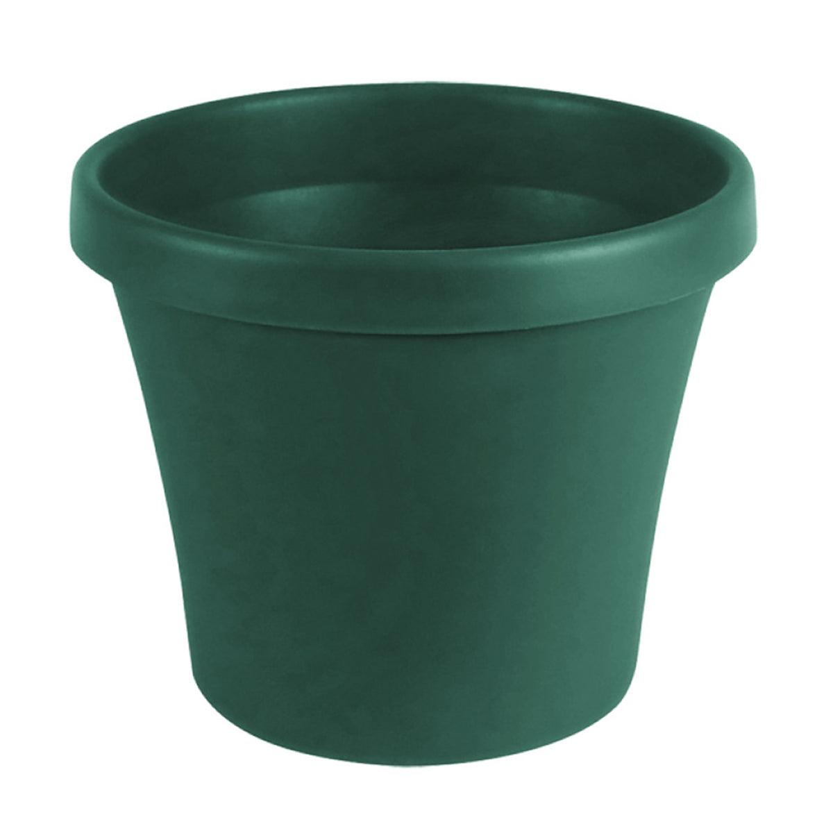 Sebor Super Pot 10 Cm Green - Livestainable.co.za