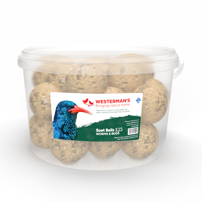 25 x Mini Worms & Bugs Suet Snack Ball Tub