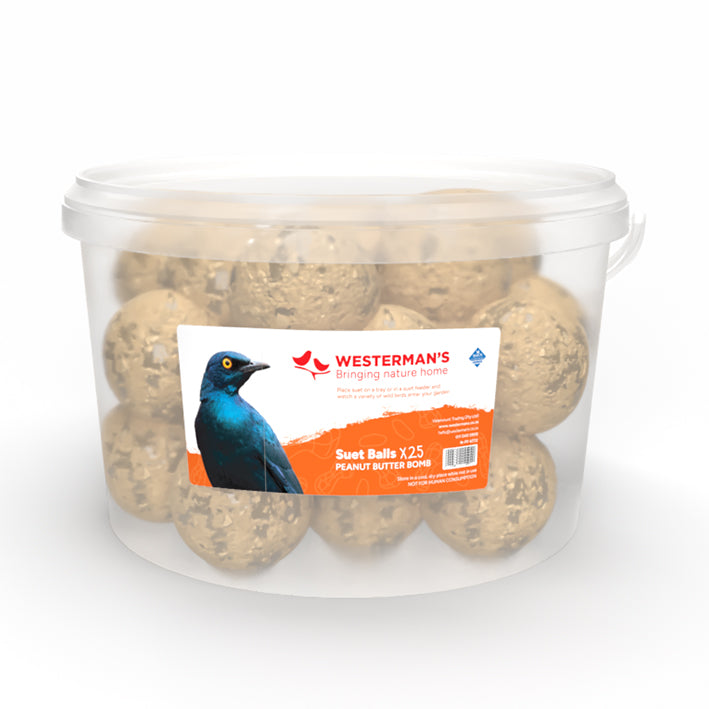 25 x Mini Peanut Suet Snack Ball Tub