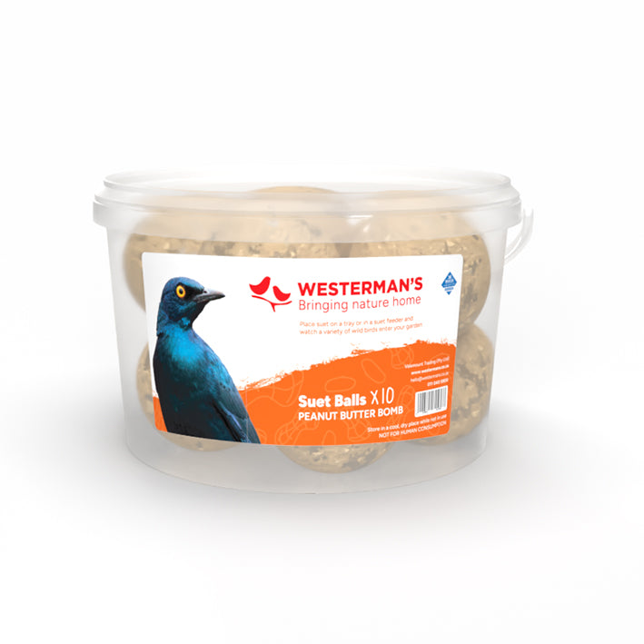 10 x Peanut Suet Snack Ball Tub