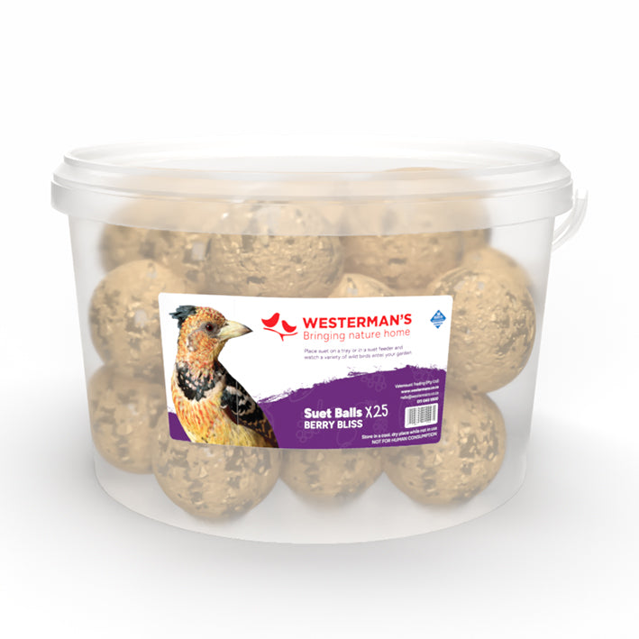 25 x Mini Berry Suet Snack Ball Tub