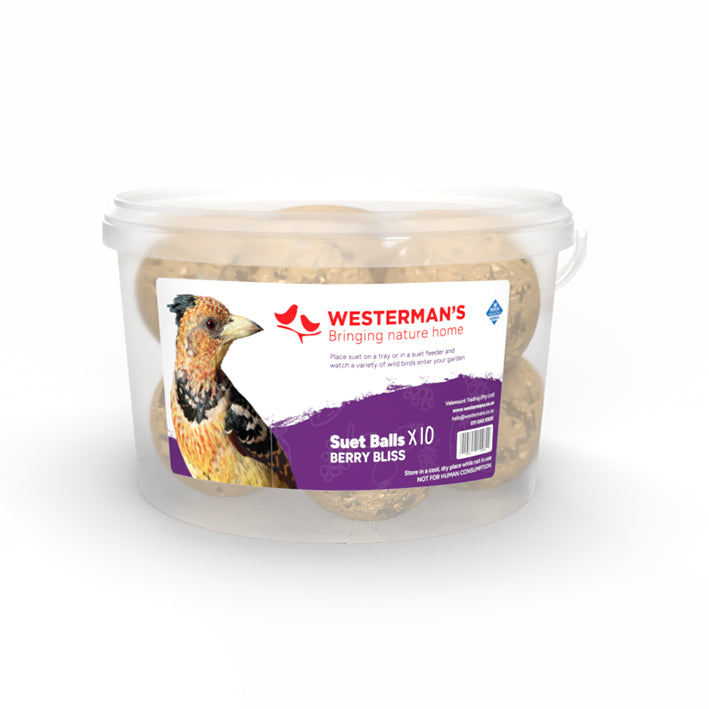 10 x Berry Suet Snack Ball Tub