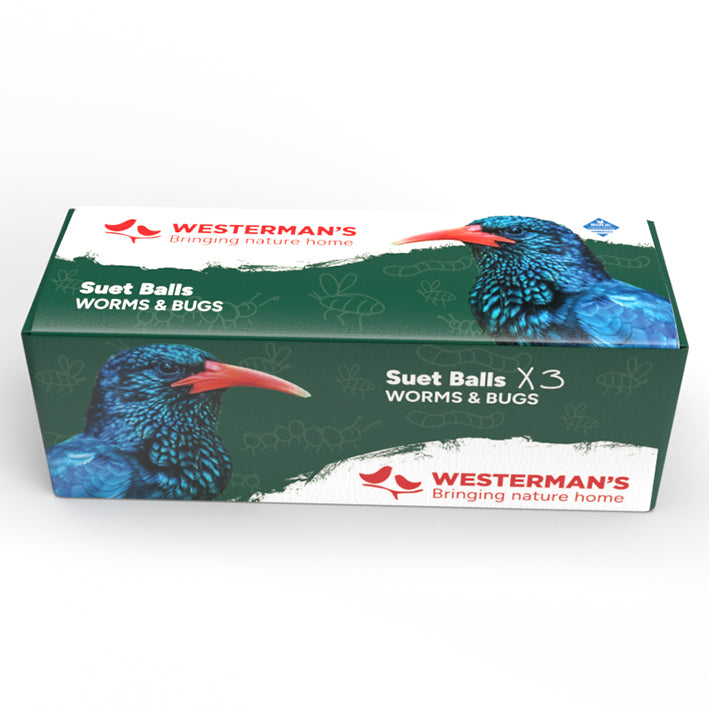 3-Pack Worms & Bugs Suet Snack Balls