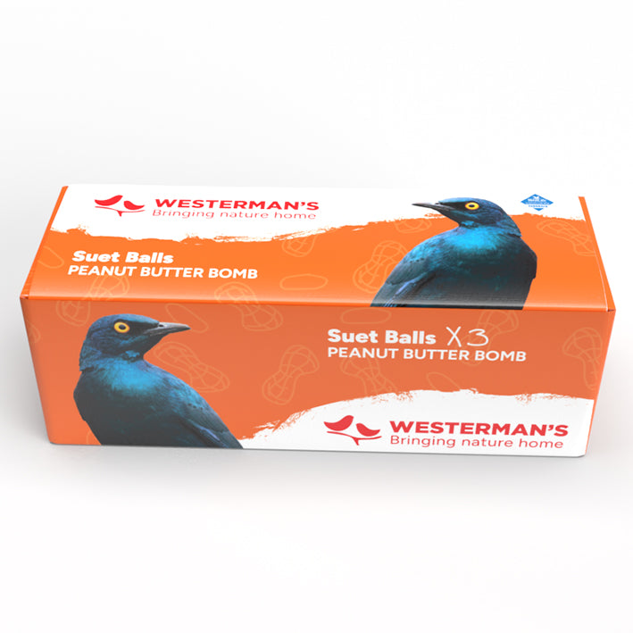 3-Pack Peanut Suet Snack Balls