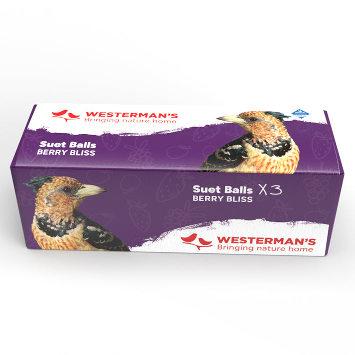 3-Pack Berry Suet Snack Balls