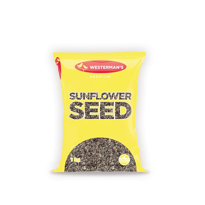 Striped Sunflower 1 kg