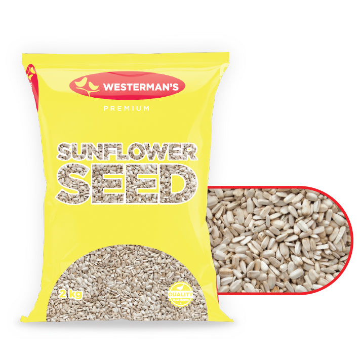 White Sunflower 2kg