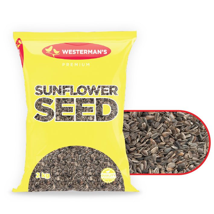 Striped Sunflower 2 kg